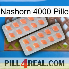 Rhino 4000 Pill 27